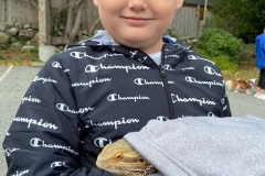 image18